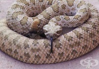 �������� �� ��������� ���� ���� �� ������ ��� �� ������?